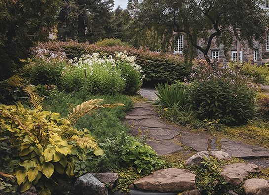 Landscaping Cardiff